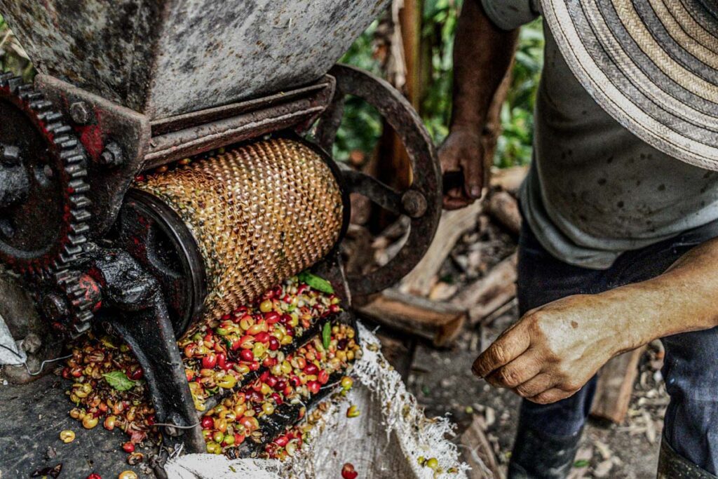 Kaffee_verarbeitung